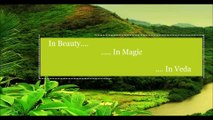 Ayurvedic & Herbal Beauty care, Cosmetics and Skin care Products Online