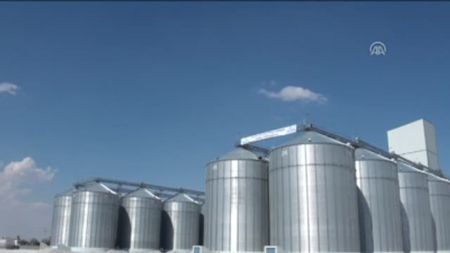 Tahıl Ambarı Nda Rekolte Düştü, Kalite Yükseldi - Konya