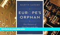 Big Deals  Europe s Orphan: The Future of the Euro and the Politics of Debt  Best Seller Books
