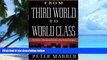Big Deals  From Third World To World Class: The Future Of Emerging Markets In The Global Economy