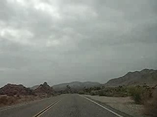 JOSHUA TREE ROAD