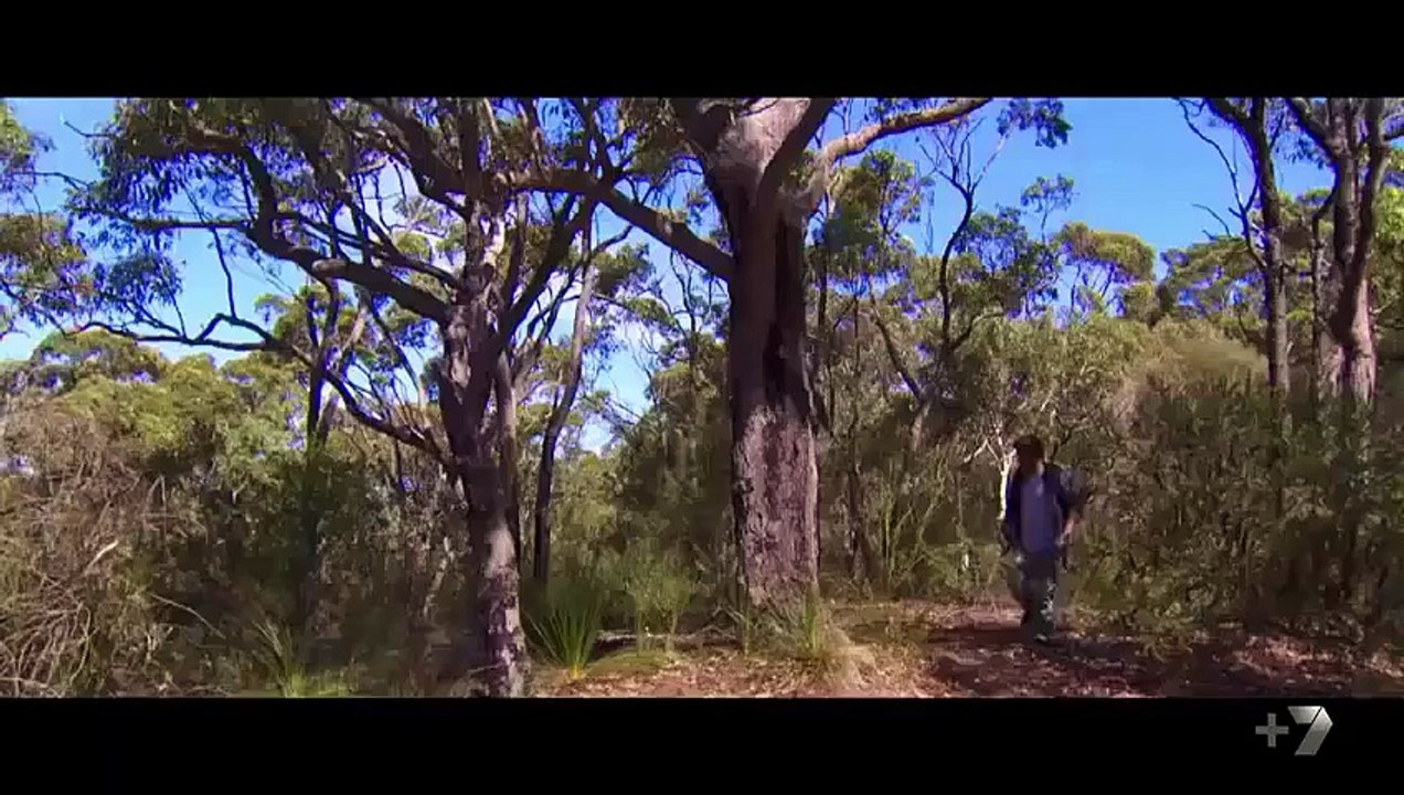 Home and Away 6489 6490 25th August 2016