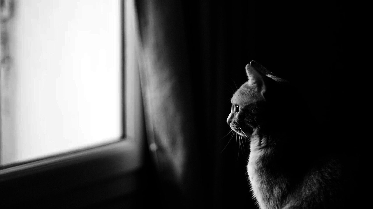 'Photograph' by Ed Sheeran Cover