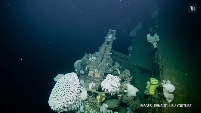 Premières images de l’épave d’un porte-avions coulé en 1951 dans le Pacifique