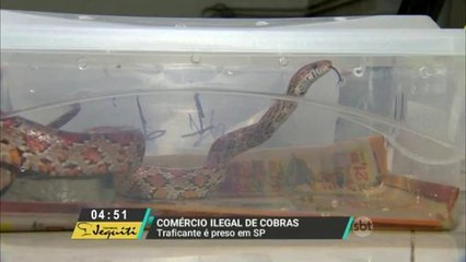 Traficante de cobras é preso em São Paulo