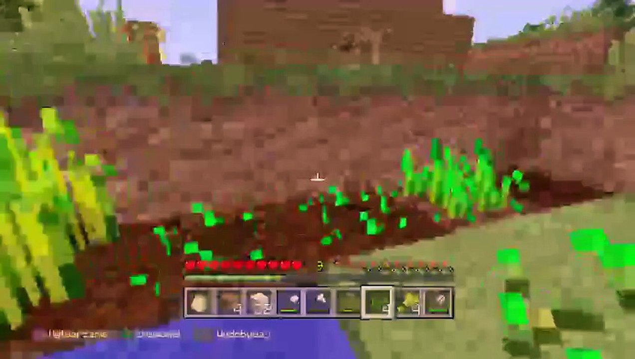 Minecraft (8)