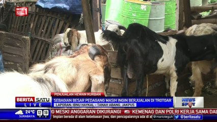Omzet Pedagang Hewan Kurban di Jakarta Bisa Mencapai Rp 800 Juta