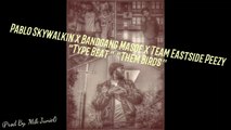 Pablo Skywalkin x Bandgang Masoe x Team Eastside Peezy 'Type Beat' 'Them Birds' Prod By. Mik Juniel