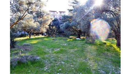 Bitez de imarlı satılık konut arsası