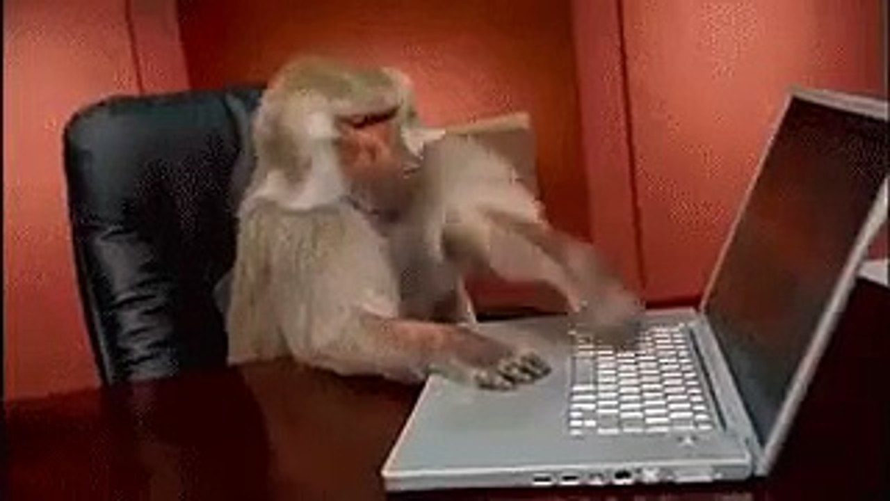 video-video-video.mp4