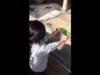 Lorikeet Feeding | Aquarium of the Pacific