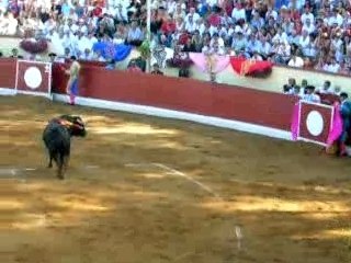 Corrida orthez 2007 DSCN1455