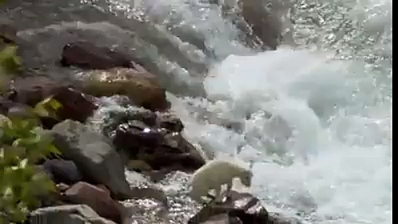 Life Is Challenging