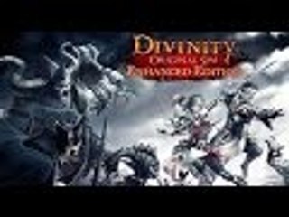 Divinity Original Sin Enhanced Edition part 23.