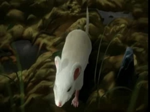 Junk – Von Mäusen und Monstern
