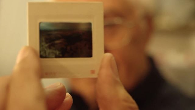 Family Road Trip to the National Parks