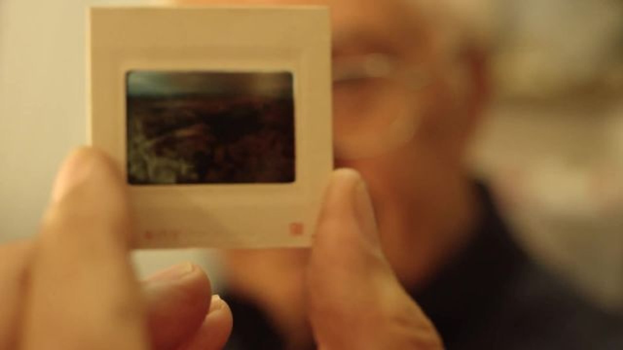 Family Road Trip to the National Parks