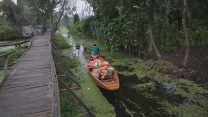 Los vegetales de temporada salvan a Cachemira de una crisis alimentaria