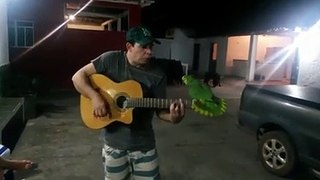 Un homme chante avec son perroquet accompagné d'une guitare.