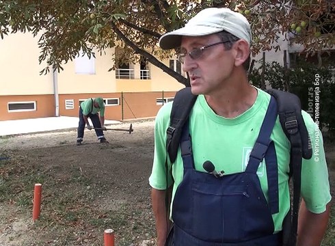 Javni radovi u Negotinu, 26. avgust 2016. (RTV Bor)