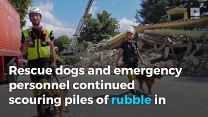 Italy quake: Death toll rises to 267, state funeral planned