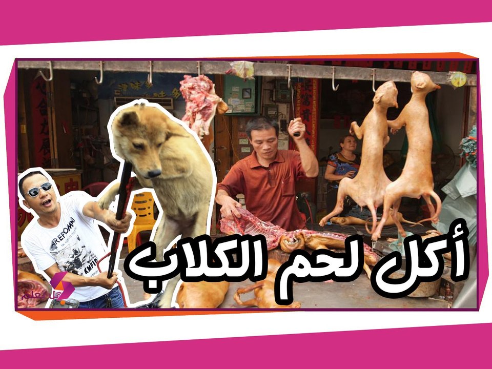 10 من أغرب الحيوانات التي تؤكل في بعض الدول..!!