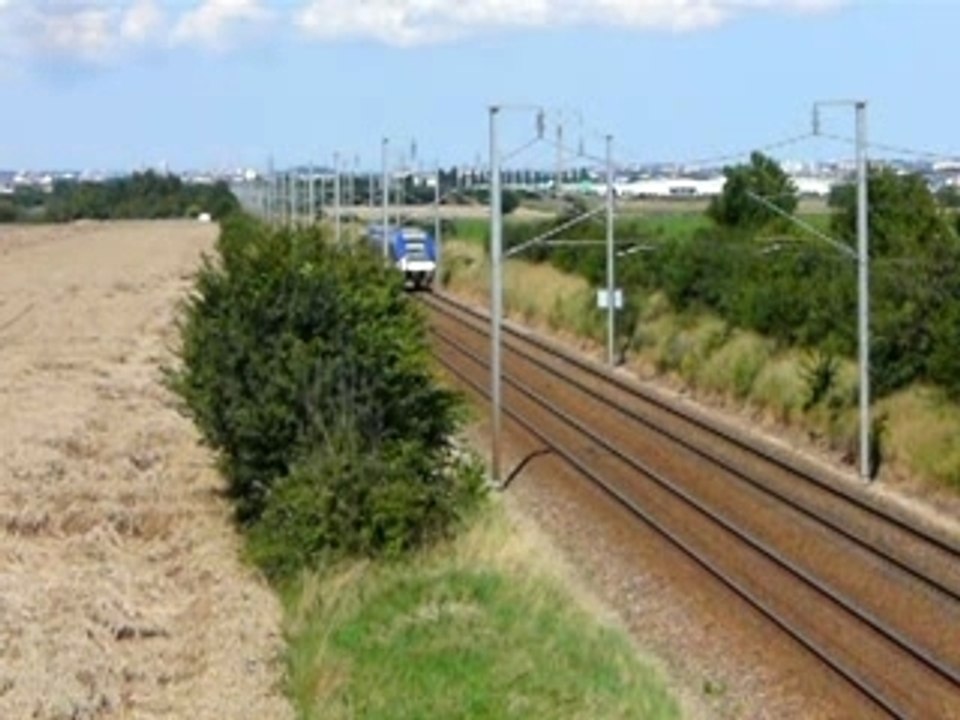 Ter