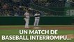 Un mouton interrompt un match de baseball aux États-Unis