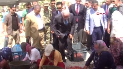 Şanlıurfa Valisi Fıstık Şenliğinde Konuştu: Düşman Çatlatıyoruz