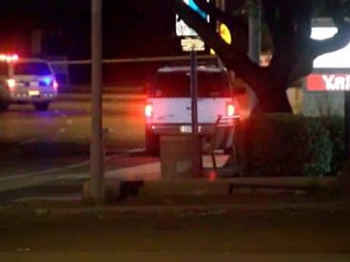 Reported drunk driver enters police scene