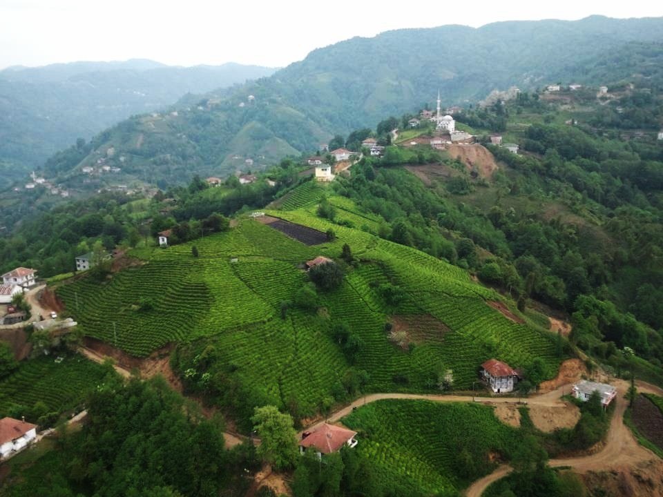 Pazar Tanıtım Filmi (İsmail Türüt)