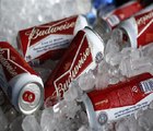 Ab Inbev Job Cuts