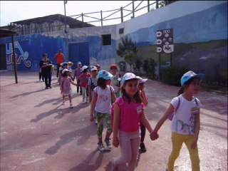 LEONES MARINOS EN TERRA NATURA