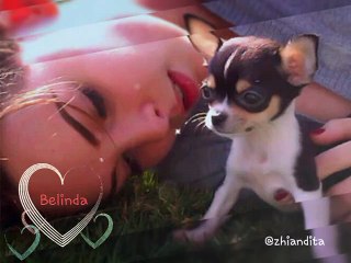 Belinda Peregrin Schull