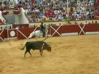 Corrida cheval orthez DSCN1418