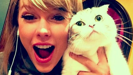 Taylor Swift's Cat Causes TWITTER MELTDOWN From Fans