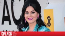 Katy Perry Feels For Catfish Victim