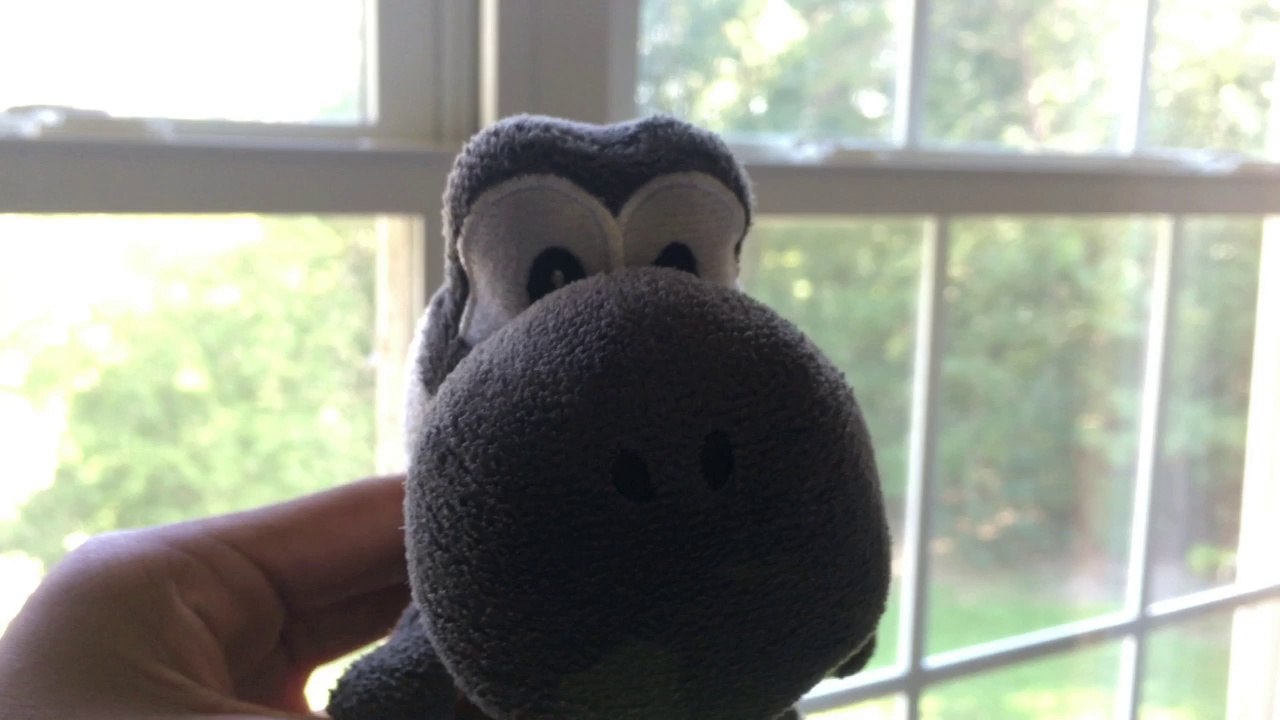 Black Yoshi The Pool Guy