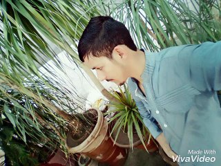 frnds ky sat achi pal