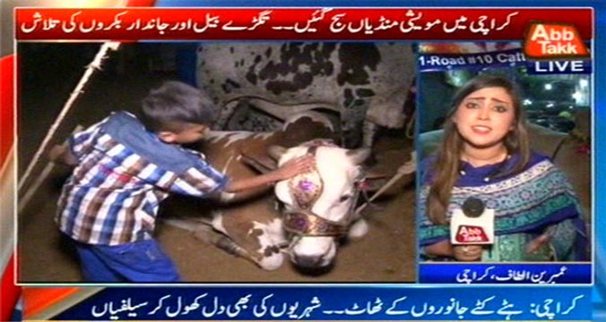 Karachi: Arrival Of Eid-ul-Azha, Cattle Markets Were Set Up In The City