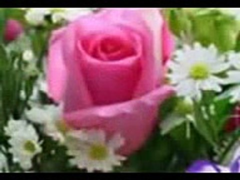 اية يا أيها الذين آمنوا توبوا إلى الله سورة التحريم الشيخ محمود الشحات محمد أنور