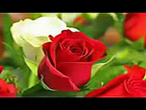 اية وقالوا الحمد لله الذي هدانا لهذا سورة الاعراف الشيخ محمود الشحات محمد أنور