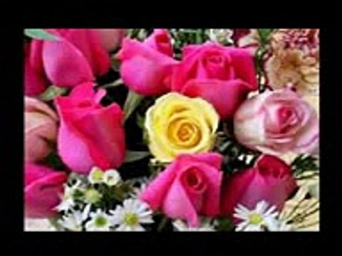 اية إن هذا القرآن يهدي للتي هي أقوم سورة الإسراء الشيخ محمود الشحات محمد أنور