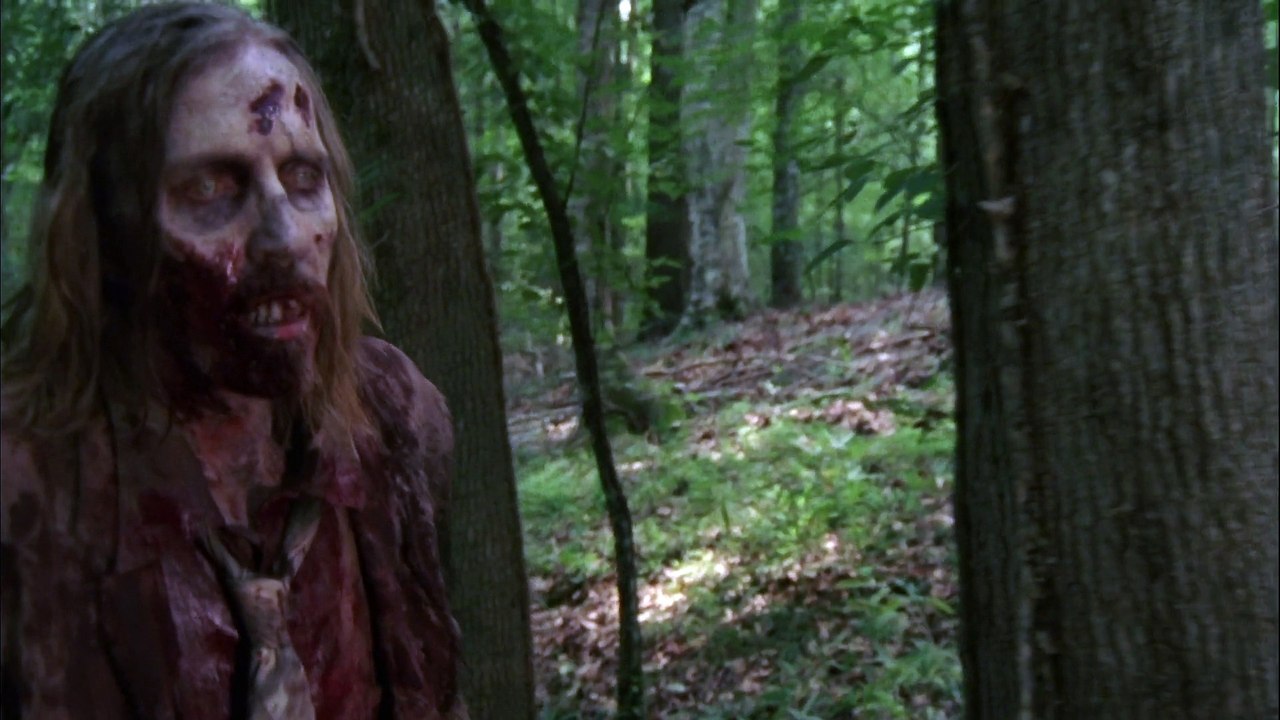 The Walking Dead || Shut up (Funny)