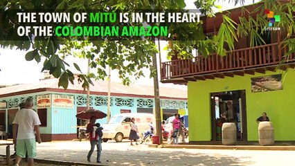 FARC Battlefield Turned Into 'Forest For Peace'