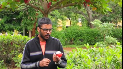 Pokemon GO In REAL LIFE