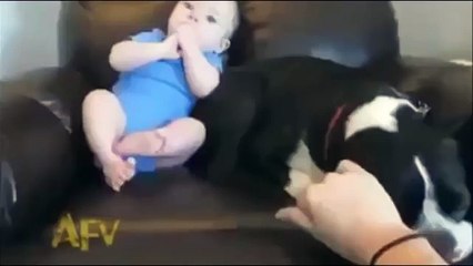 Funny baby fart disappoints dog