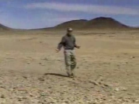 Oncle SAM en Algérie