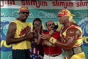 Hulk Hogan vs Vader Bash At The Beach 1995 Steel Cage Match