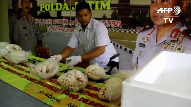 Indonésie: saisie de 657 pangolins congelés